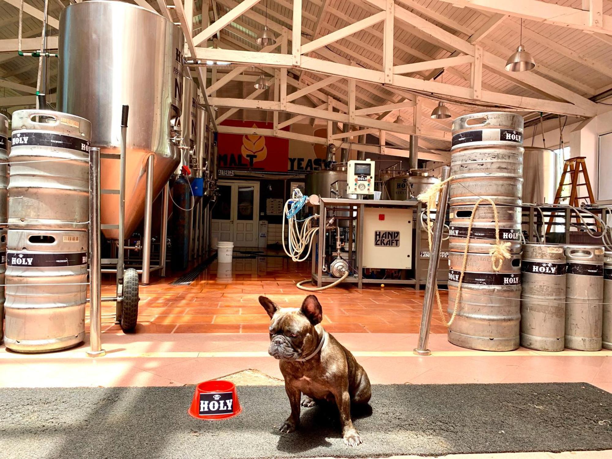 Beer Hotel Iguazu Puerto Iguazú Zewnętrze zdjęcie